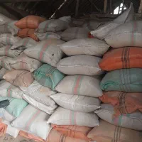 سبوس برنج|حیوانات مزرعه|آستانه اشرفیه, |دیوار