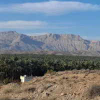 زمین باغ شهر   ( قابل اجرای سوله و کارگاه)