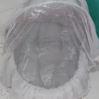 سبد پرنسسی نوزاد سبد حمل