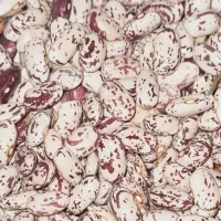 لوبیا چیتی درجه ۱