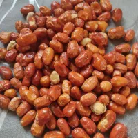 پودر سنجد محلی وکاملا ارگانیک