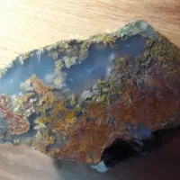 پاییزی خزه ای هفت رنگ ابدار