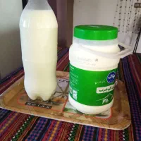 شیر محلی کیلوی 38 تومن دوغ محلی لاکی 25|خوردنی و آشامیدنی|گلوگاه بابل (گلیا), |دیوار