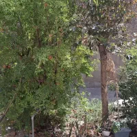 منزل 2طبقه|فروش خانه و ویلا|اصفهان, کوهانستان|دیوار