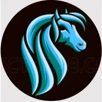 لوازم سوارکاریتو پایین ترین قیمت بخر|اسب و تجهیزات اسب‌سواری|برخوار, |دیوار