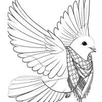 راهنمایی معاینه فنی دوگانه