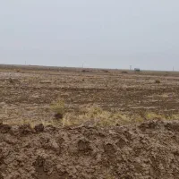 ۵۰۰۰ متر زمین کشاورزی تک برگ سند|فروش دفتر صنعتی، کشاورزی، تجاری|تربت جام, جامرود|دیوار