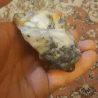 سنگ شجرخام