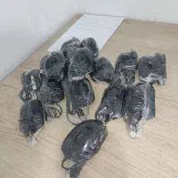 ماوس تسکو . جنیوس . فراسو