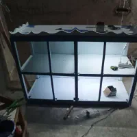 قفس جفتکن چهار عددی|لوازم جانبی حیوانات|قشم, |دیوار