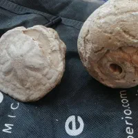 کلکسیون|کلکسیون اشیاء عتیقه|شیراز, پودنک|دیوار