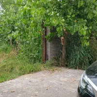 زمین ۲۰۰ متری / بر جاده / در زیباکنار