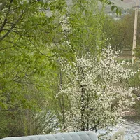 اجاره روزانه/هفتگی/ویلا ۲۰۰ متری|اجارهٔ کوتاه‌مدت ویلا و باغ|سنندج, |دیوار