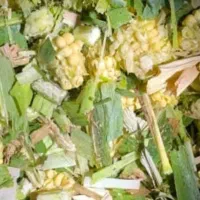 ذرت علوفه ای سیلو شده|عمدهفروشی|لاجان, |دیوار