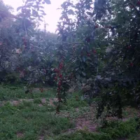 فروش-زمین-سیصد-متری