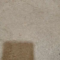 موکت با دوام....