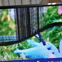 تلویزیون شکسته|تلویزیون و پروژکتور|ری, دولت‌آباد|دیوار