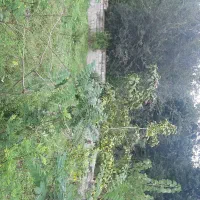 زمین400متری-دیوار-کشی-شده-با-220-متر-پروانه-دوبلکس