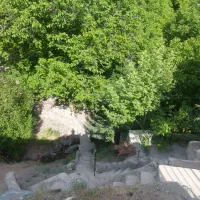 زمین باغ در روستای همه جا(در جاده چالوس )