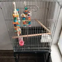 قفس کاسکویی صفر|لوازم جانبی حیوانات|سلماس, |دیوار