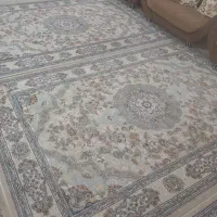 فرش 6متری1000شانه اصلی|فرش|سقز, |دیوار