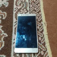 قیمت املیون