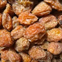 الو بخارا  تناژ