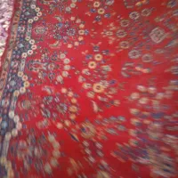 تعدادی موکت و فرش|موکت|سهند, |دیوار