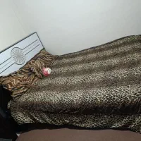 سرویس چوب|تخت و سرویس خواب|شهر ری, ظهیرآباد|دیوار