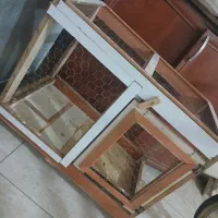 قفس کبوتر|لوازم جانبی حیوانات|اردبیل, |دیوار