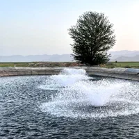 فروش ۳۰ هکتار