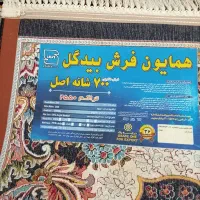 دو عدد قالی نو|فرش|گرگان, |دیوار