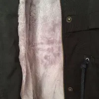 پالتو|لباس|بیرجند, |دیوار