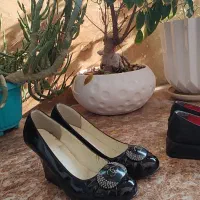 کفش در حد نو|کیف، کفش، کمربند|ساری, |دیوار