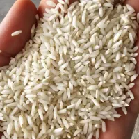 برنج عنبربو خورستان (خالص و عطری) ( کالابرگ)