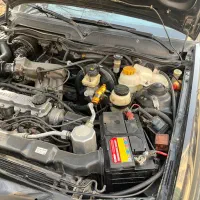 دوو سیلو عروسک