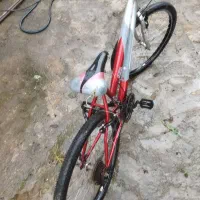 دوچرخه ۲۶|دوچرخه، اسکیت، اسکوتر|اطاقور, |دیوار