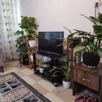 مشاور خونه مبله و باغ استخر روزانه و اجاره ماهیانه|اجارهٔ کوتاهمدت آپارتمان و سوئیت|بوشهر, |دیوار