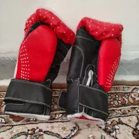 دستکش بوکس|تجهیزات ورزشی|سنقر, |دیوار