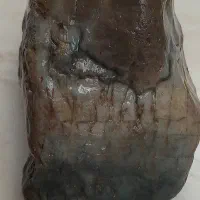 فروش انواع سنگ طبیعی