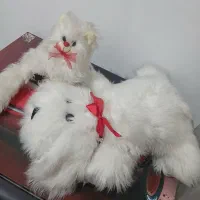 عروسک سگ وگربه کاملا سالم هست