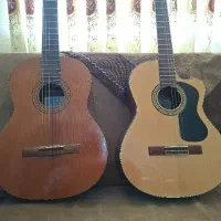 گیتار حرفه ی