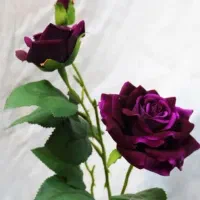 ویلایی-دو-پارکنگه-راه-جدا