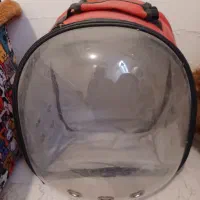 کیف و باکس حمل سگ|لوازم جانبی حیوانات|تهران, سهروردی|دیوار