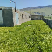 دامداری صنعتی 800راس|فروش دفتر صنعتی، کشاورزی، تجاری|دینور, |دیوار