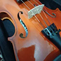 ویلون|ویولن|مشهد, شهید قربانی|دیوار