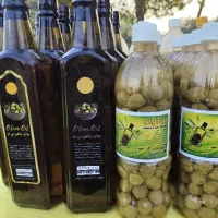 محصولات زیتون ترشینو