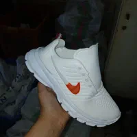 کفش عمده|کیف، کفش، کمربند|مشگین شهر, |دیوار