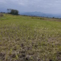 زمین شخصی زیر قیمت