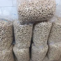 بادام تازه بوداده|خوردنی و آشامیدنی|پارس‌آباد, |دیوار